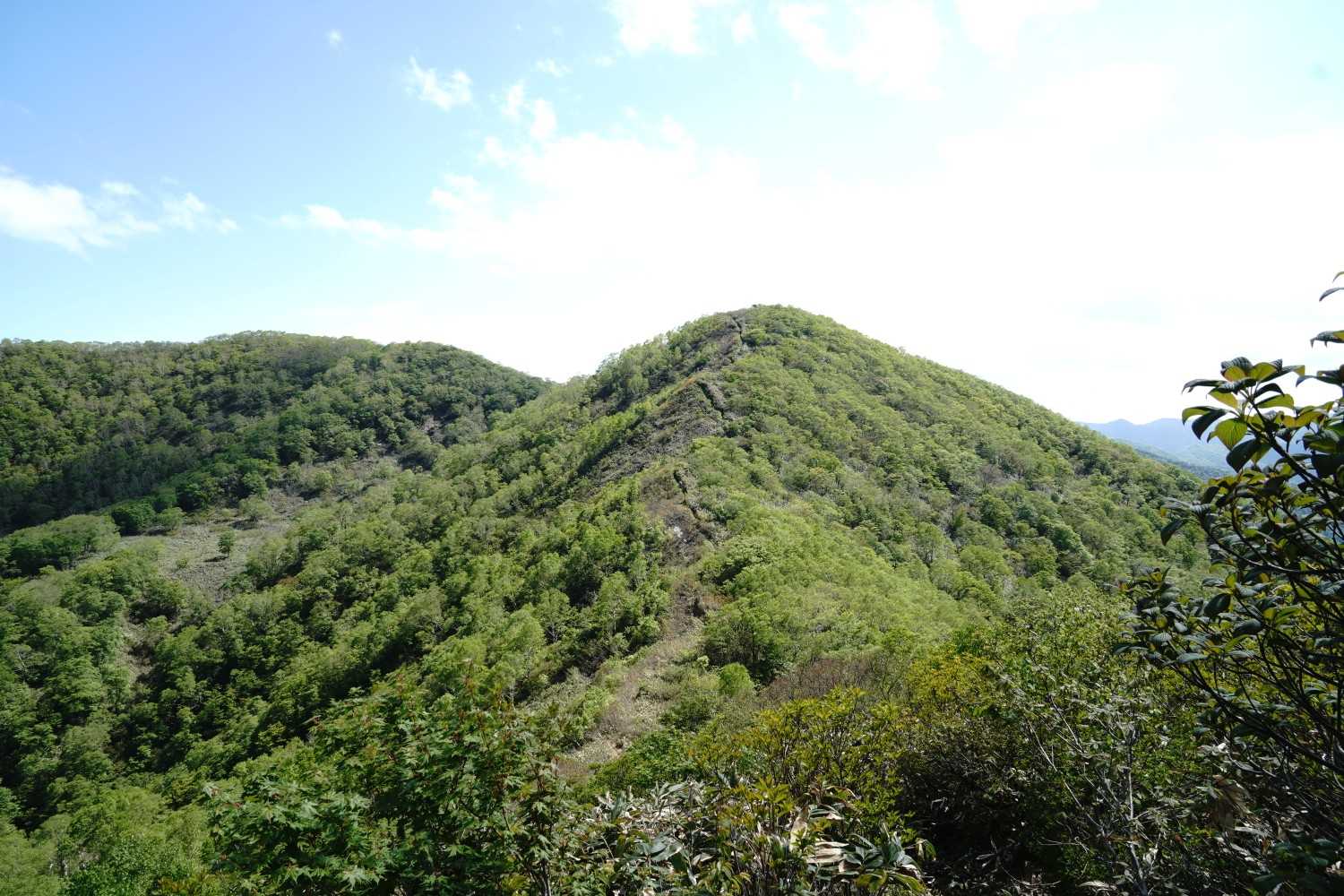 下りの最後の登り