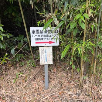 降りてきました。今日のコースは9割がた階段
もう此方からは登らないでしょう。
最後まで見てくださってありがとうございました
😊😊❗️