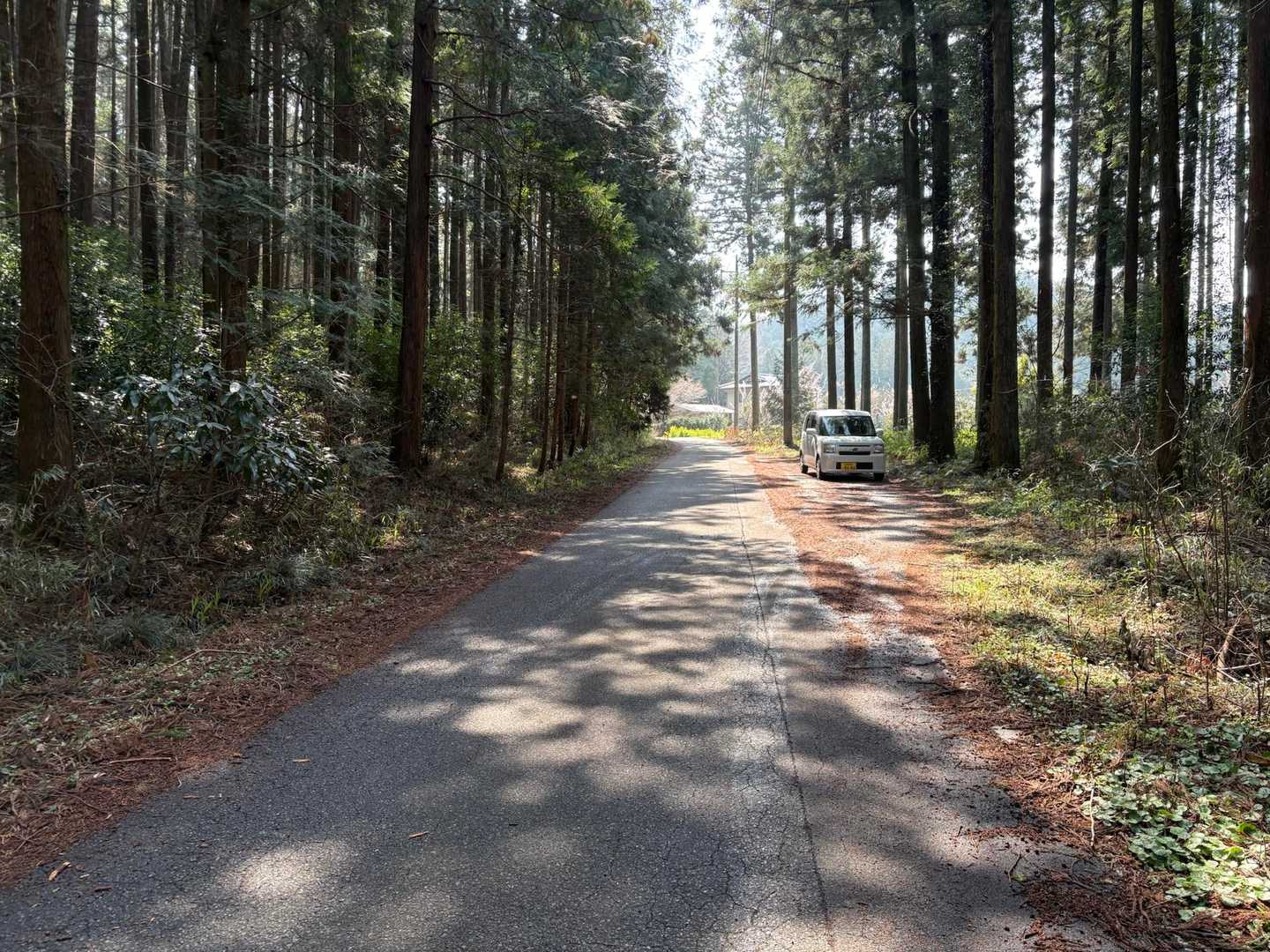 岩谷不動尊-浅間神社鳥居-富士山-刈場山 縦走コースの写真