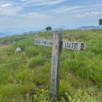 ここは7合目「お猿岩」
どれかわかりませんでした😅
