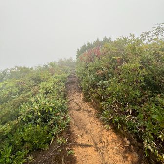 ガスガスです
レインウェア着ると
雨止むあるある発動しません😅