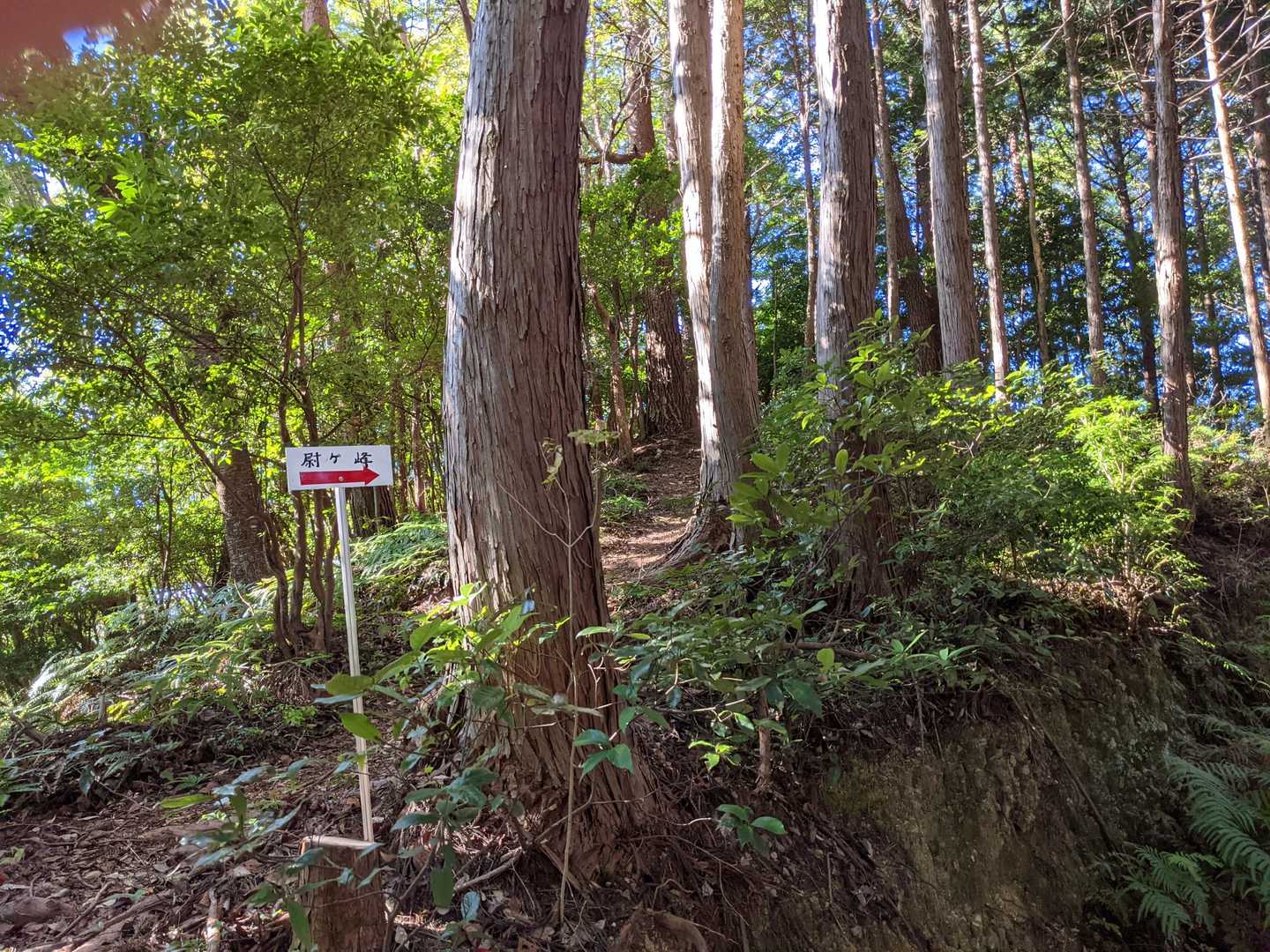浜名湖佐久米駅-引佐峠-尉ヶ峰-尉ヶ峰登山口-気賀駅 縦走コースの写真