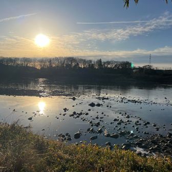 駐車場、道路を超えて逆側、長良川にご挨拶👋