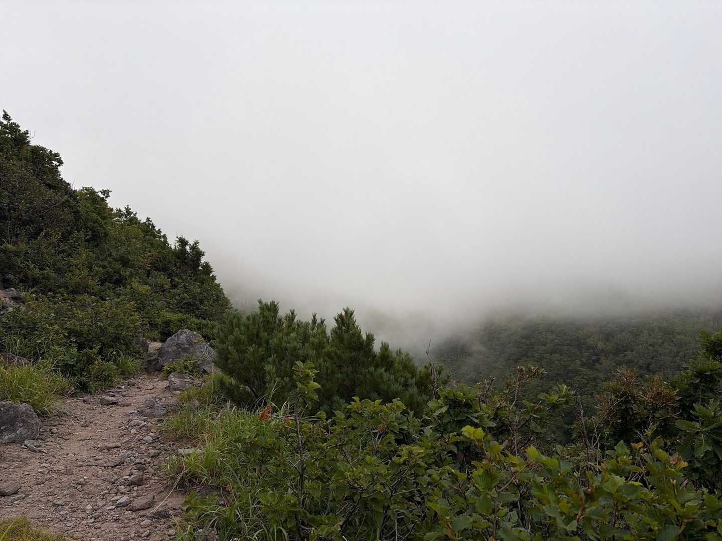濃霧注意報🌫️
