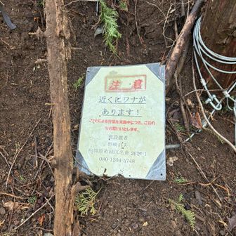 罠にかかりませんように、、、