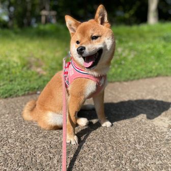 カズユキ