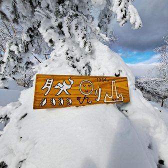 🏁ハレノヒデザイン
不法投棄せずに持帰り