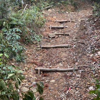 前日設置した登山口上の階段