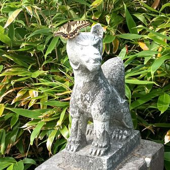 蝶の髪飾りちょうちょ