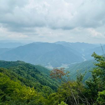 山頂より。