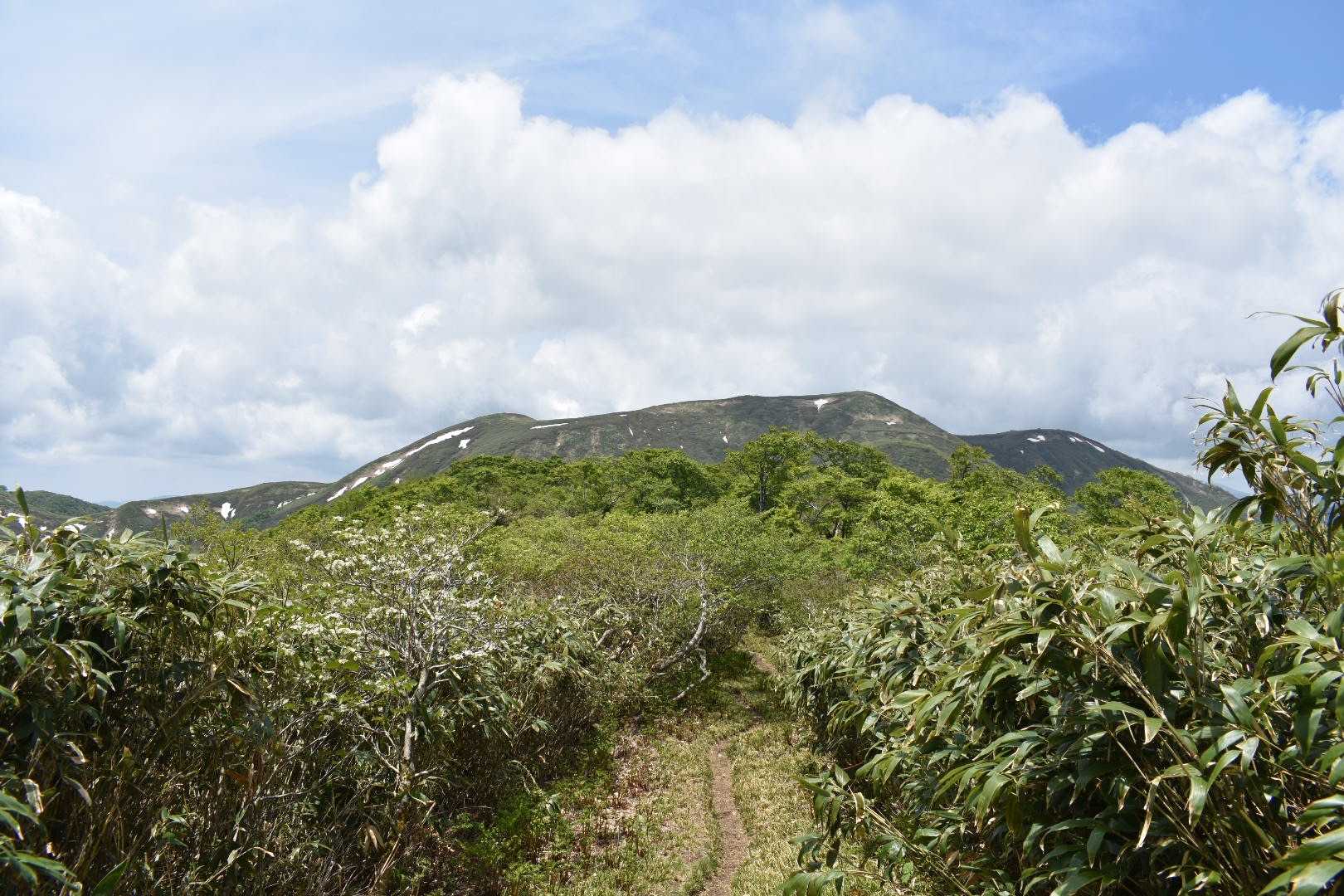 能郷白山撮るのが難しい
全体のバランス勝負