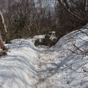 旧道に入ってすぐにドロドロだったので、戻りました