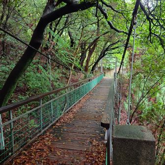 野崎駅からスタートして、
野崎観音の上、
吊り橋のあるルートから歩きます🚶‍♀️