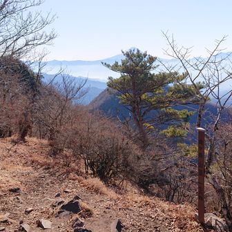 とうちゃく～　金ヶ岳 1,762m
周回コースはこの先　金ヶ岳南峰と茅ヶ岳へ向かいましょう
ここから見る茅ヶ岳は標高差－58mだけだけど随分カワイイ山に感じてしまう、でも有名なお山です☺️