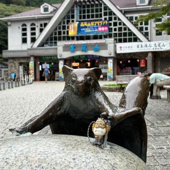 今日のお供はガマ吉さん🐸
駅前のコンビニでオヤツを買うつもりが、まだ営業してなくて何も買えず🥲
持参したのは水とパウチのドリンクのみ🥲