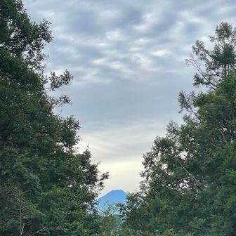 富士見平小屋から富士山🗻見えた！