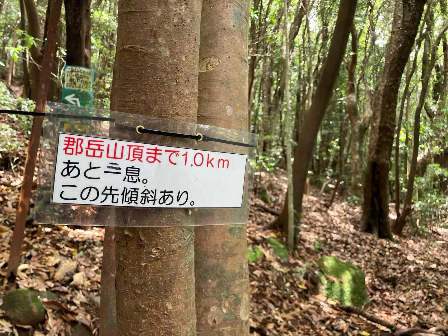 あと一息に、2本足されてる😂