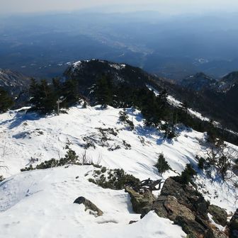 登って来た尾根道
通称バカ尾根と言うらしい😅