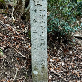 下山道はおだやかだったので有馬温泉側から登ると多少は楽かな〜