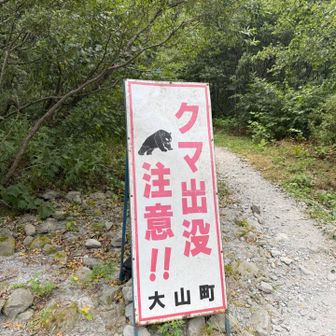 🐻出没注意⚠️

実際にいたようですね‥