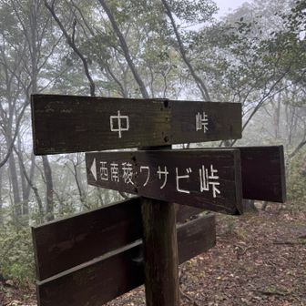 中峠着。ここからシャクシコバの頭まではピストンで行く。