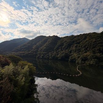 諭鶴羽ダム周辺に数ヶ所駐車場🅿️(無料)あります。
トイレあり🚾

8時に到着しましたが、続々と車がやってきます。
地元の方の散歩コース⁉️
