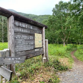 しょうがないので日の出とともに出発
ロープウェイ使った方が楽なのかもしれないけど最後のザレ場が苦手
なんともロマンティックな雰囲気のこっちルートが圧倒的に好き
