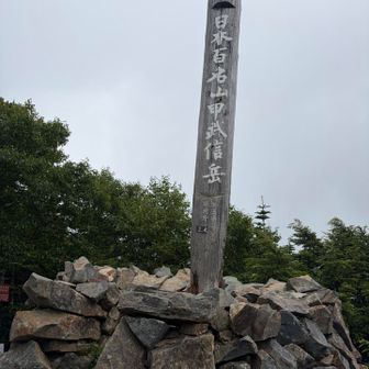 甲武信ヶ岳も、百名山ですから