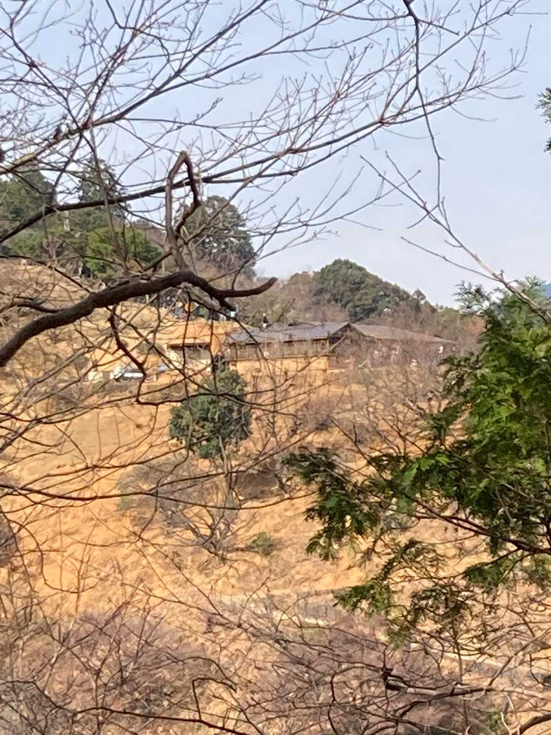 モンキーパークがみえる🐒