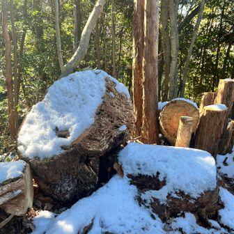 風雪だったのかな