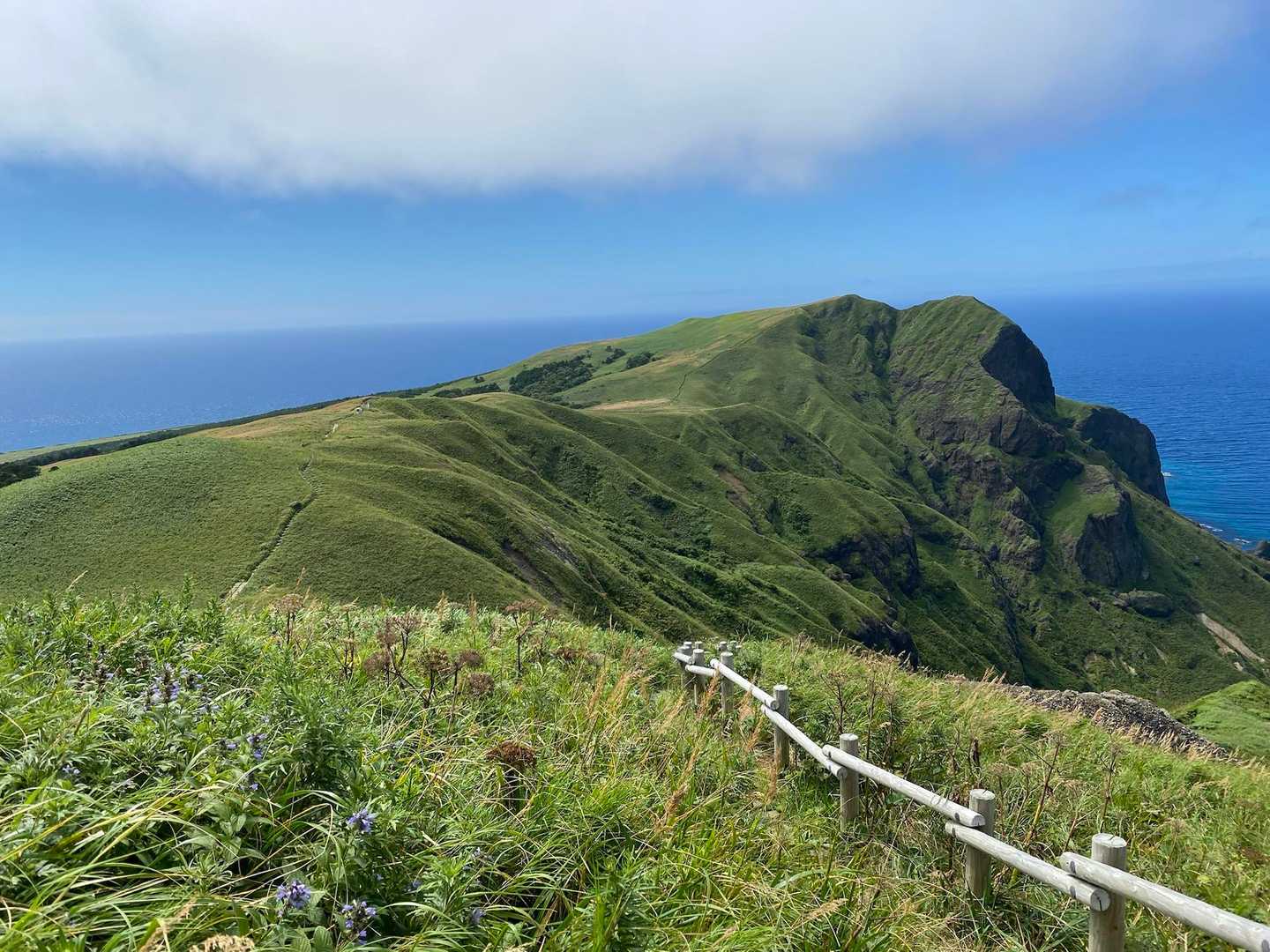 キンバイの谷-つばめ山 往復コースの写真