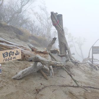 日向山山頂