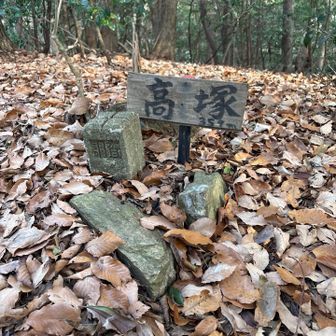 高塚山山頂は眺望なし