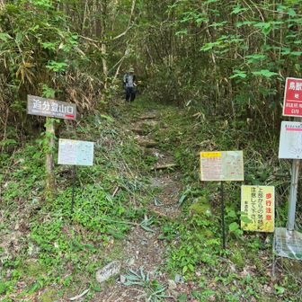 追分コースで登山口まで戻ってきました！
これから舗装路ですが長いので結局登山道🥵