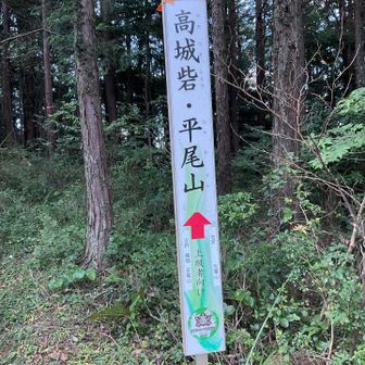 ここから少し急になる