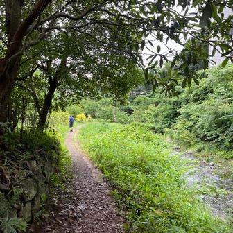 すると
小仏川に並走する遊歩道が🎶