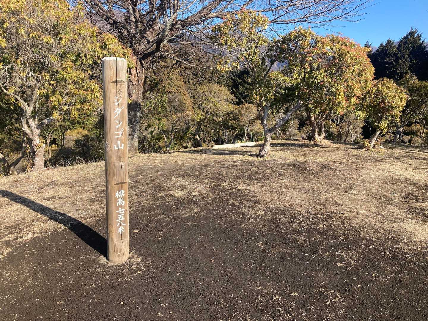 寄バス停-シダンゴ山登山口-シダンゴ山-ダルマ沢ノ頭-桜丸 周回コースの写真