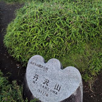 丹沢山に着きました
