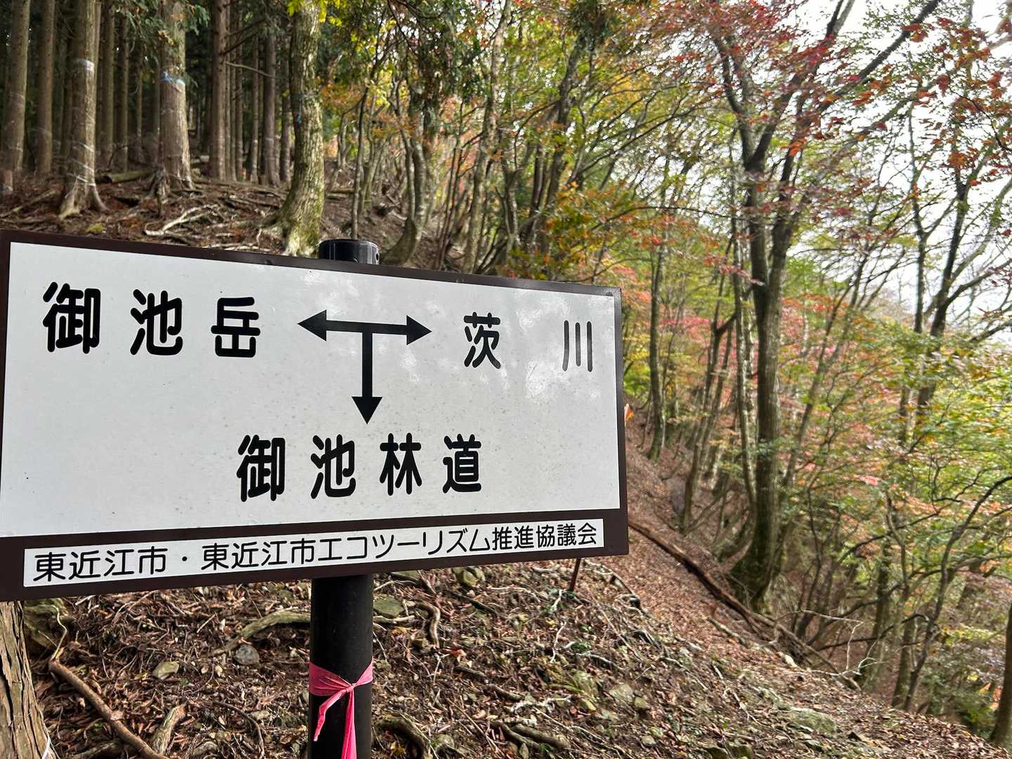 先へ行くと茨川！？行きませんが…