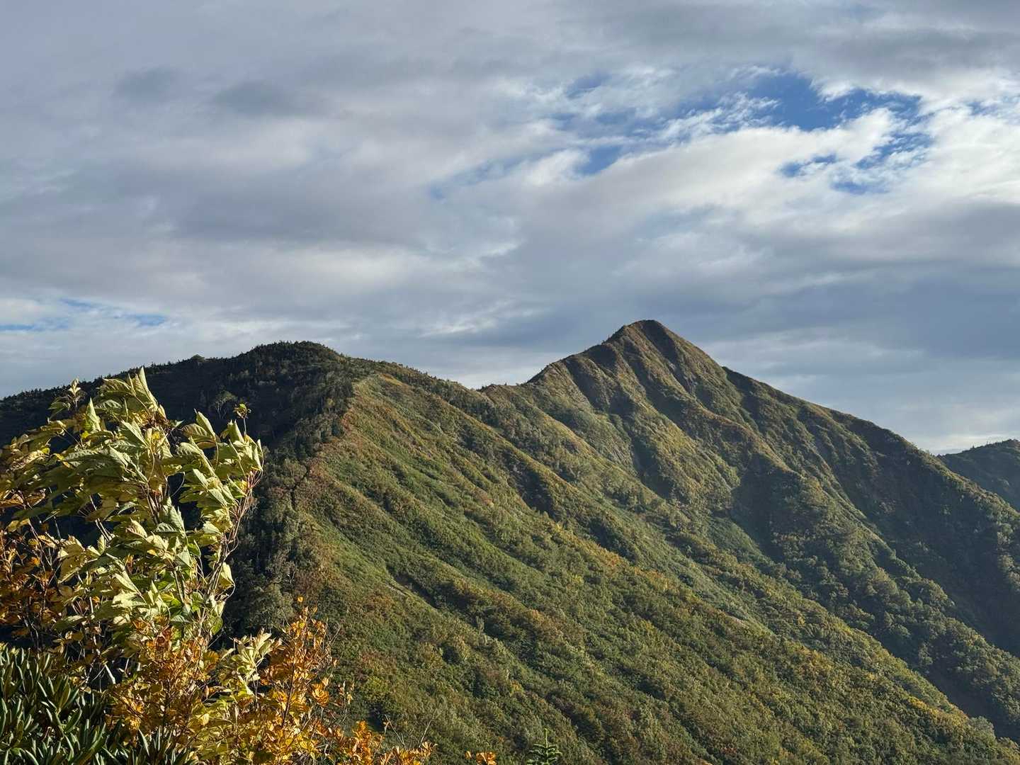 荒沢岳振り返り

とんがってるのが荒沢岳ですね。
覚えました✍️