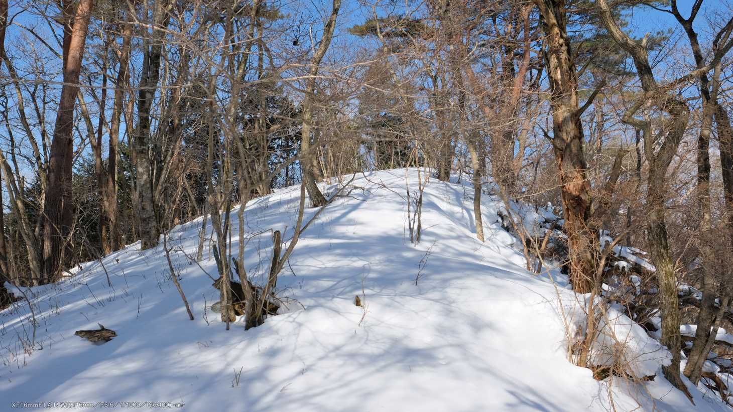 間もなく「耳切山」山頂。