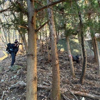 横から急にカモシカ現れてめっちゃびっくりした🫢
