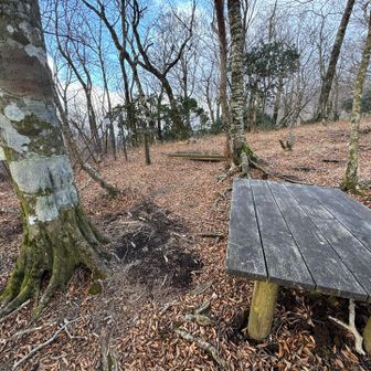 昼食　ベンチあって助かる