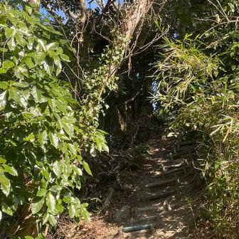 ちょっと急なところがあると娘がひーと言ってます