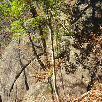 巨岩の横を通ります。