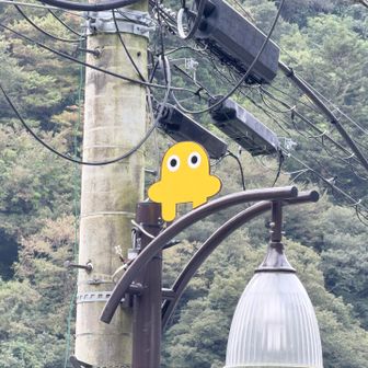 タバスキーさんおはようございます