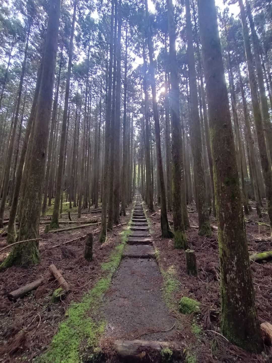 異世界への入り口