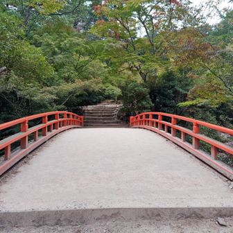 紅葉🍁と赤い橋 きっと素晴らしいでしょうね…