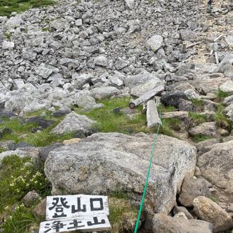 浄土山登山口へ下山。雪渓が残っていました。