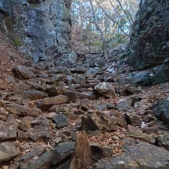 気掛かりなポイント(3)
シェリーのような小型犬でも行けるね🐾